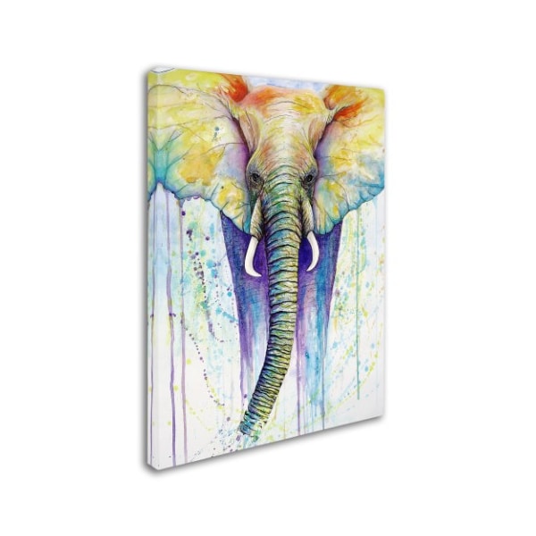 Michelle Faber 'Elephant Colors' Canvas Art,24x32